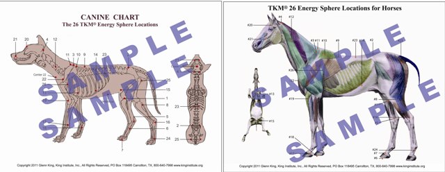 horse_dog_chart